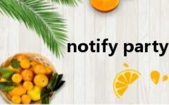 notify party 和consignee