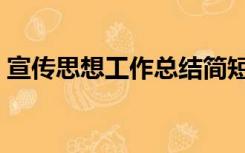 宣传思想工作总结简短（宣传思想工作总结）