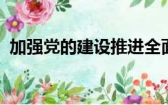 加强党的建设推进全面从严治党方面的建议