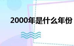 2000年是什么年份（2000年是什么年）