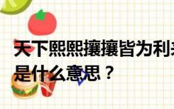 天下熙熙攘攘皆为利来天下熙熙攘攘皆为利来是什么意思？