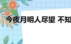 今夜月明人尽望 不知秋思落谁家 啥意思呀