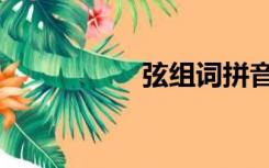 弦组词拼音（弦组词）