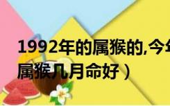 1992年的属猴的,今年的命怎么样?（1992年属猴几月命好）