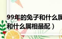 99年的兔子和什么属相最配对（99年属兔的和什么属相最配）