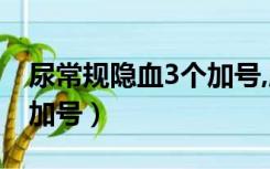 尿常规隐血3个加号,腰涨痛（尿常规隐血3个加号）