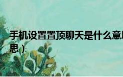 手机设置置顶聊天是什么意思（手机里面置顶聊天是什么意思）