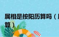 属相是按阳历算吗（属相是以农历算还是阳历算）