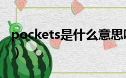 pockets是什么意思呢（pockets是什么意思）