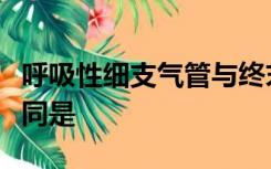 呼吸性细支气管与终末细支气管结构的主要不同是