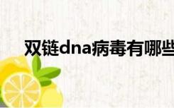 双链dna病毒有哪些（dna病毒有哪些）