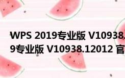 WPS 2019专业版 V10938.12012 官方最新版（WPS 2019专业版 V10938.12012 官方最新版功能简介）