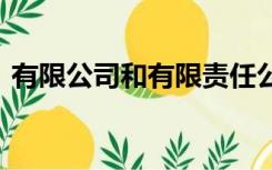 有限公司和有限责任公司的区别 哪个好一些