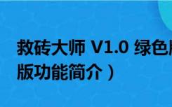 救砖大师 V1.0 绿色版（救砖大师 V1.0 绿色版功能简介）