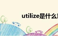 utilize是什么意思（utilize）