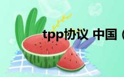 tpp协议 中国（tpp协议国家）