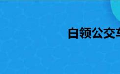 白领公交车上的高潮