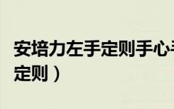 安培力左手定则手心手背怎么看（安培力左手定则）