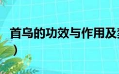 首乌的功效与作用及禁忌（首乌的功效与作用）