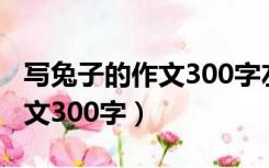 写兔子的作文300字左右三年级（写兔子的作文300字）