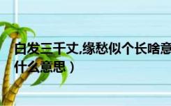 白发三千丈,缘愁似个长啥意思（白发三千丈 缘愁似个长 个什么意思）