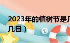 2023年的植树节是几月几日（植树节是几月几日）