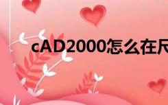 cAD2000怎么在尺寸特性改上下偏差