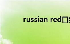 russian red口红颜色多少色号