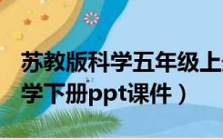 苏教版科学五年级上册ppt（苏教版五年级科学下册ppt课件）