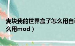 麦块我的世界盒子怎么用自己的皮肤（麦块我的世界盒子怎么用mod）