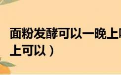 面粉发酵可以一晚上吗会怎样（面粉发酵一晚上可以）