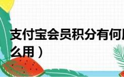 支付宝会员积分有何用（支付宝会员积分有什么用）