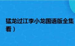 猛龙过江李小龙国语版全集（猛龙过江李小龙国语版在线观看）