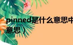 pinned是什么意思中文翻译（pinned是什么意思）