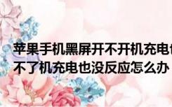 苹果手机黑屏开不开机充电也没反应（苹果手机突然黑屏开不了机充电也没反应怎么办）