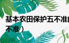 基本农田保护五不准的内容（基本农田保护五不准）