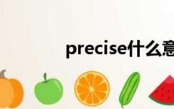 precise什么意思（precise）