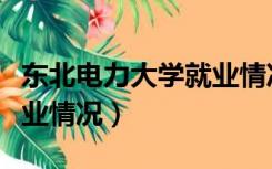 东北电力大学就业情况分析（东北电力大学就业情况）