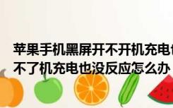 苹果手机黑屏开不开机充电也没反应（苹果手机突然黑屏开不了机充电也没反应怎么办）