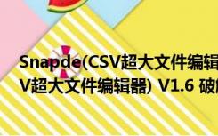 Snapde(CSV超大文件编辑器) V1.6 破解版（Snapde(CSV超大文件编辑器) V1.6 破解版功能简介）