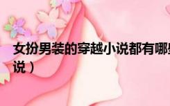 女扮男装的穿越小说都有哪些女主要冷（女扮男装的穿越小说）