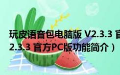 玩皮语音包电脑版 V2.3.3 官方PC版（玩皮语音包电脑版 V2.3.3 官方PC版功能简介）