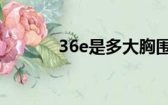 36e是多大胸围（36e是多大）