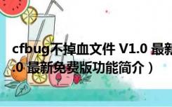 cfbug不掉血文件 V1.0 最新免费版（cfbug不掉血文件 V1.0 最新免费版功能简介）