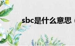 sbc是什么意思（sb是什么意思）