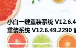 小白一键重装系统 V12.6.49.2290 官方最新版（小白一键重装系统 V12.6.49.2290 官方最新版功能简介）