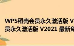 WPS稻壳会员永久激活版 V2021 最新免费版（WPS稻壳会员永久激活版 V2021 最新免费版功能简介）