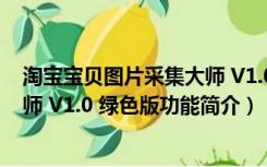 淘宝宝贝图片采集大师 V1.0 绿色版（淘宝宝贝图片采集大师 V1.0 绿色版功能简介）