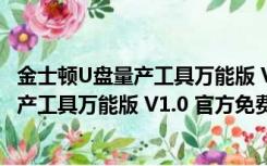 金士顿U盘量产工具万能版 V1.0 官方免费版（金士顿U盘量产工具万能版 V1.0 官方免费版功能简介）