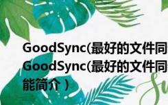 GoodSync(最好的文件同步软件) V12.0.5.5 多语官方版（GoodSync(最好的文件同步软件) V12.0.5.5 多语官方版功能简介）